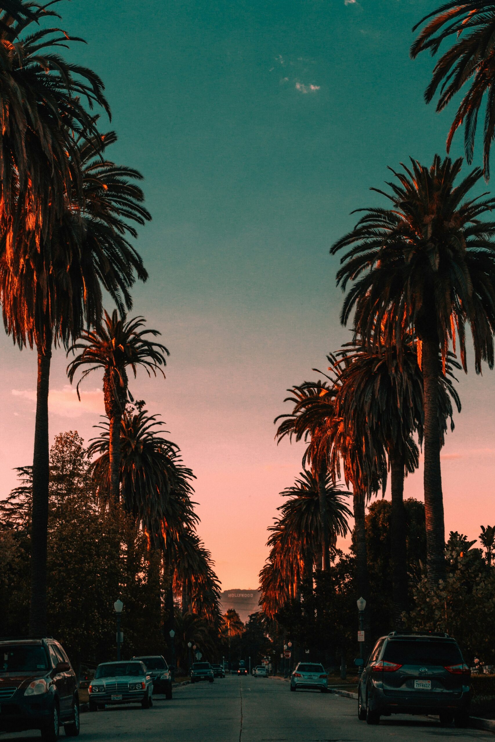 steven-pahel-645g50Mxy8s-unsplash