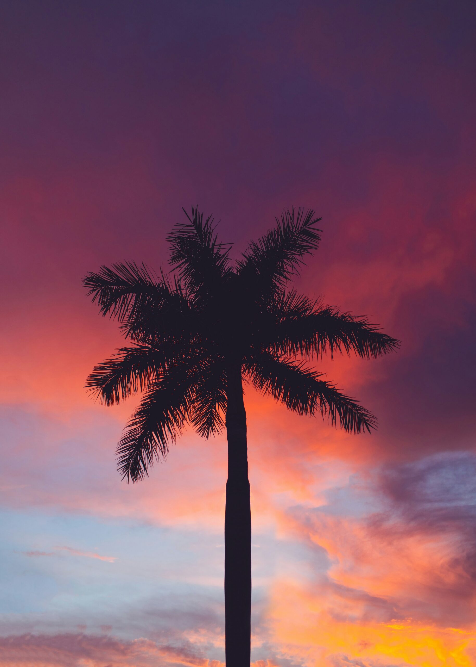 tom-morbey-BsbOshnkbpY-unsplash
