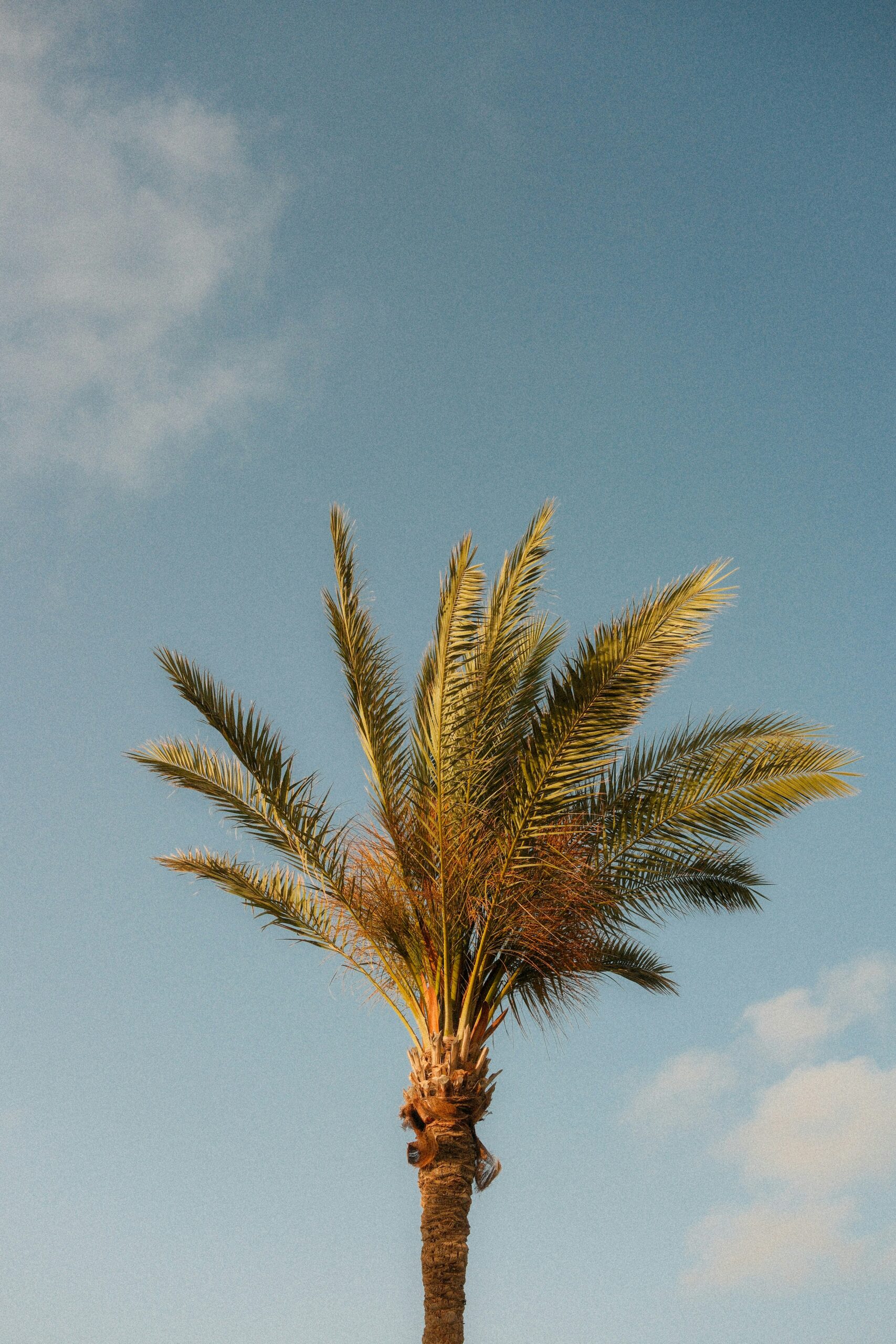 yousef-salhamoud-EmaNvKiiOu0-unsplash